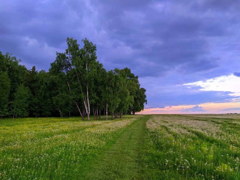 Create meme: field nature, russia landscape, landscape 