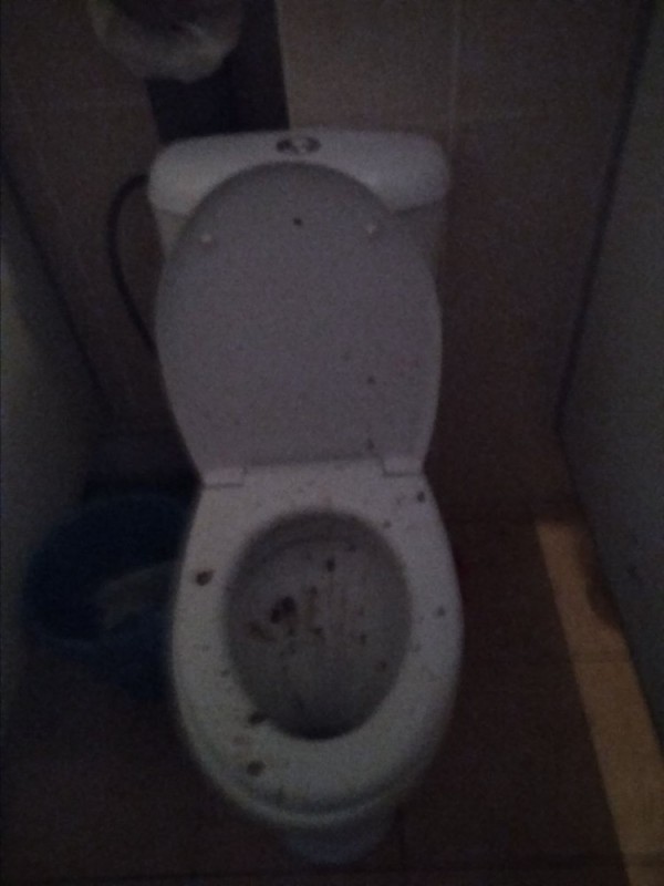 Create meme: the toilet , toilet , toilet bowl bu
