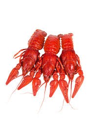 Create meme: boiled crawfish , lobster on a white background, beer crawfish