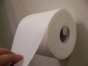 Create meme: Toilet paper