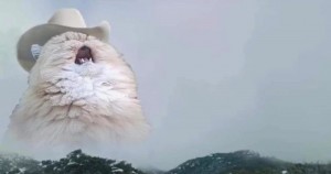 Create meme: the cat shouts in the mountains of meme, screaming cat, screaming cat in the hat