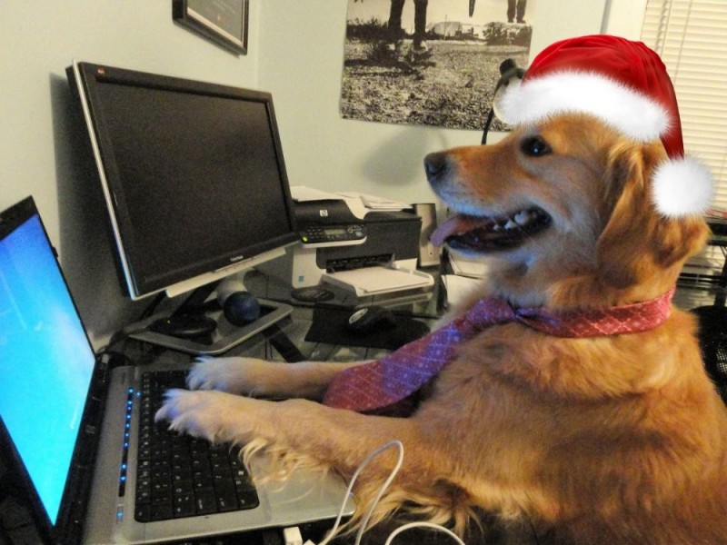 Создать мем: собака геймер, собака под столом, собака за компьютером