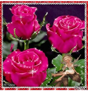 Создать мем: очень красивые три розы живое, roses, pink roses