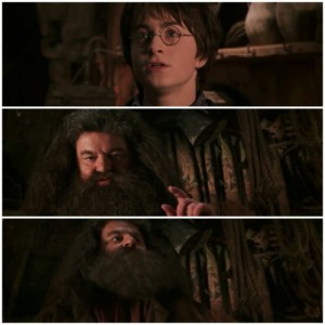 Create meme: memes, harry potter and the chamber of secrets, thorin