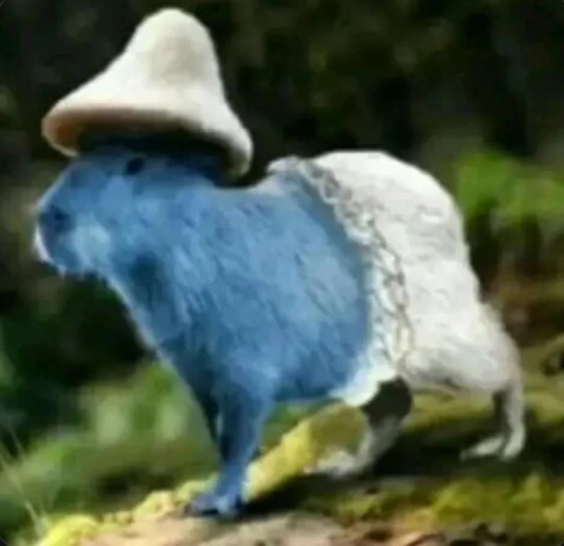 Create meme: blue rabbit, blue squirrel, blue rabbit 2023