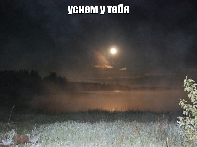 Create meme: landscape night, moonlit night , the fog at night