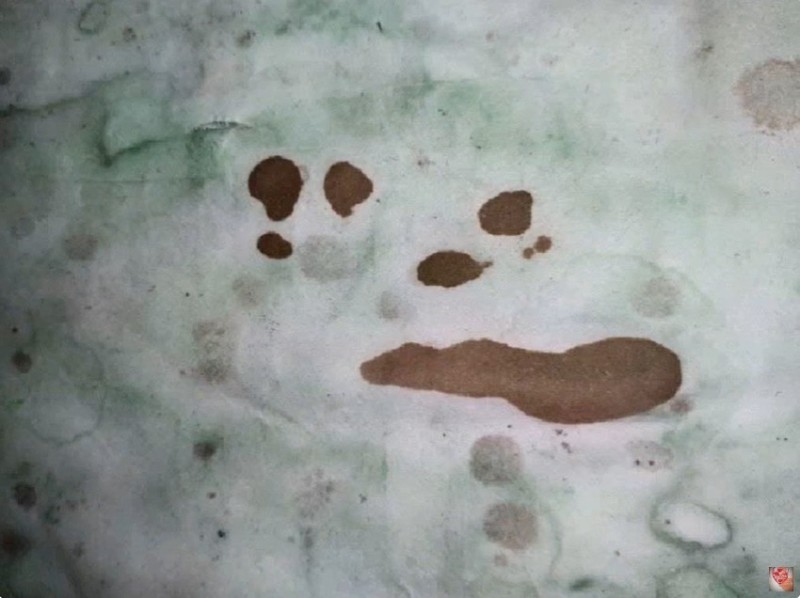 Create meme: insect, human footprints in the snow, people 