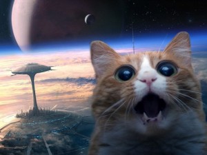 Create meme: aliens, on Mars, funny cat