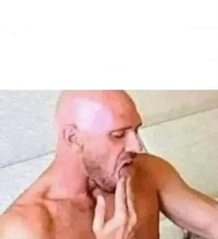 Create meme: johnny sins memes, A meme with a bald man from the brothers, from bald brothers