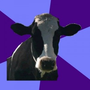 Создать мем: holstein, cow, Коллега-корова