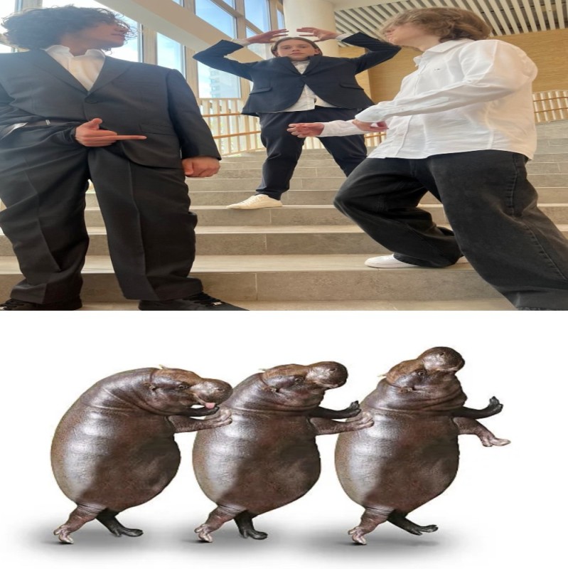 Create meme: Hippo , hippopotamus hippopotamus, dwarf hippos