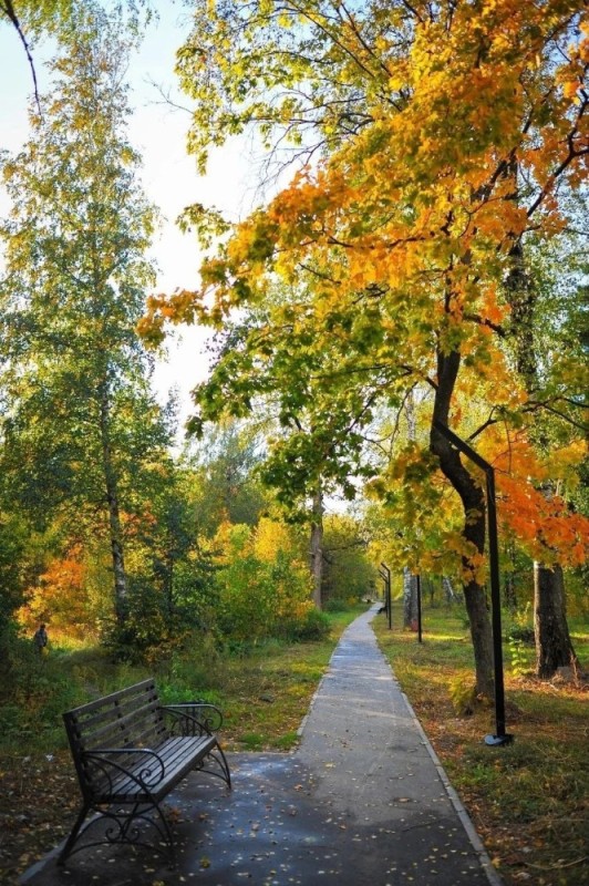 Create meme: autumn , autumn park, golden autumn in the park