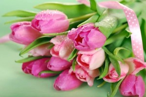 Create meme: pink tulips, tulips, delicate tulips