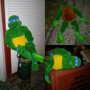Create meme: teenage mutant ninja turtles, Rio