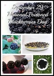 Create meme: blackberry berry, blackberries are an Apache variety, blackberry