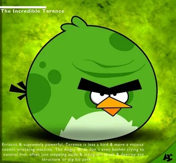 Создать мем: терренс angry birds, angry birds теренс, angry birds 2 теренс