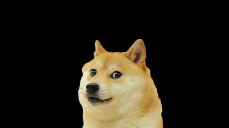 Create meme: Shiba Inu dog, The dog is the original, shiba inu doggie