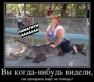 Создать мем: толстый крокодил, демотиваторы смешные про людей, смешные шутки