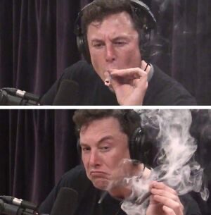 Create meme: elon musk smoking, Elon musk with pot, musk smokes a meme