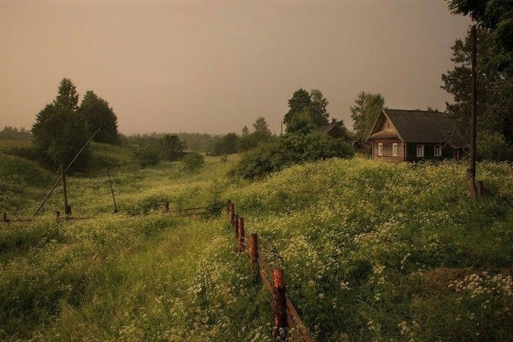 Создать мем: лес деревня, деревенское утро, пейзаж деревни