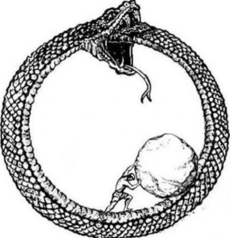 Create meme: The great serpent Ouroboros, Ouroboros, The serpent Ermungand ouroboros