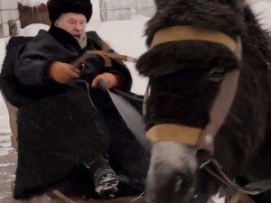 Create meme: Zhirinovsky donkey GIF, Zhirinovsky donkey photo, Zhirinovsky and donkey video