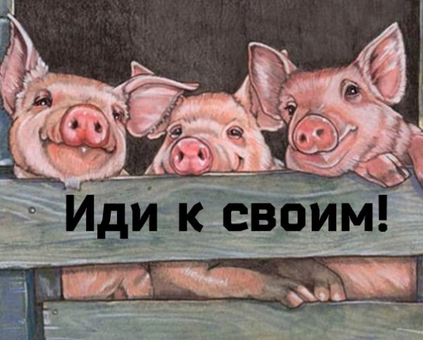 Создать мем: свиньи в живописи, свинья с плакатом, свинья
