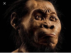 Create meme: man evolved from apes, homo naledi, 2000×2000