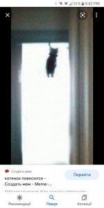 Create meme: cat hanged meme, meme cat hung himself in the doorway