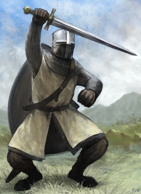 Create meme: knight , medieval knight , The Mildwood Knight