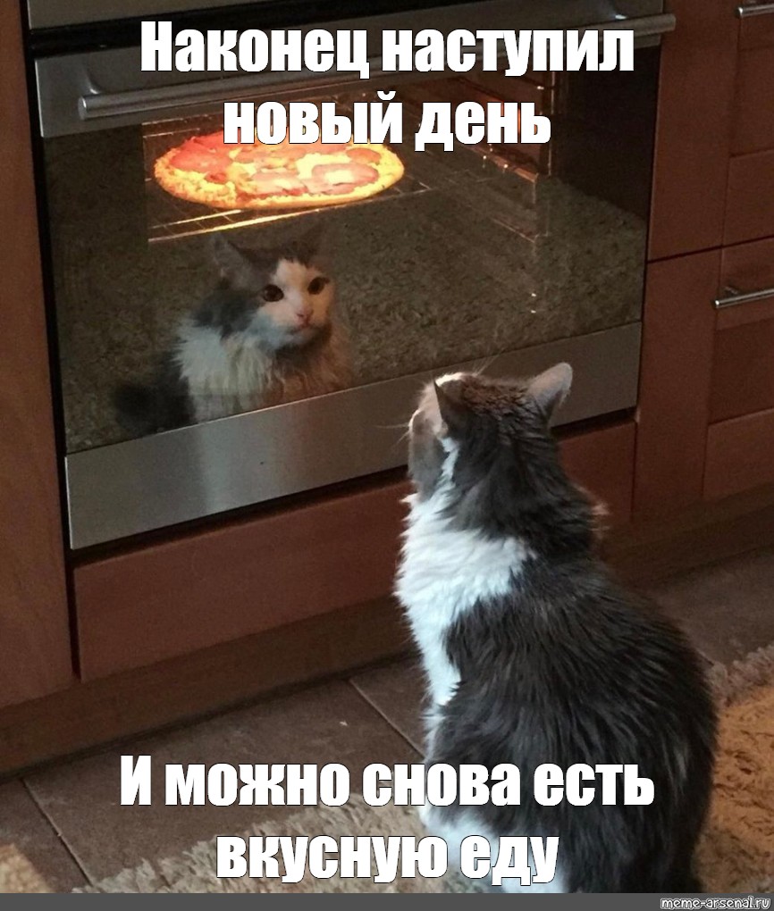 Наконец пришло. Котик в духовке. Вкусно и точка Мемо. Шаблон мема с котом можно не надо.