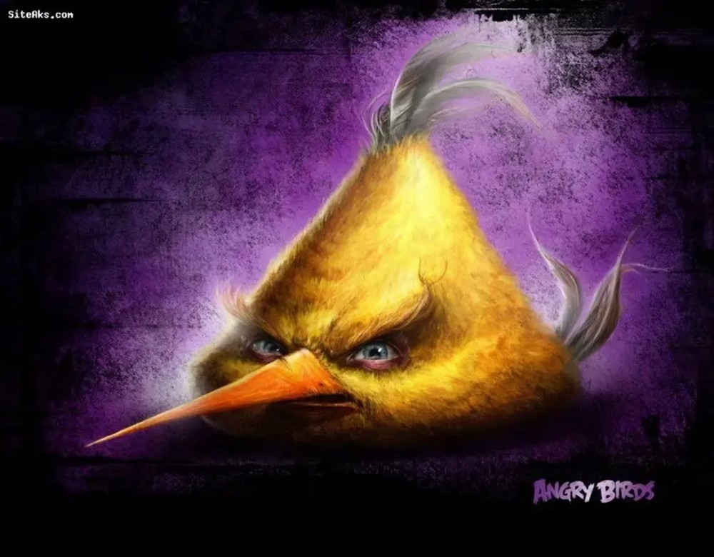 Create meme: sam spratt angry birds, The bird from the Angri Birds, The bird of Angri Birds