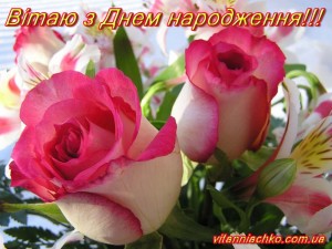 Create meme: flowers roses, happy birthday beautiful, beautiful flowers