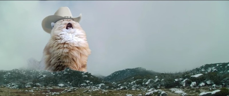 Create meme: fluffy cat, screaming cat in the hat, the cat in the mountains