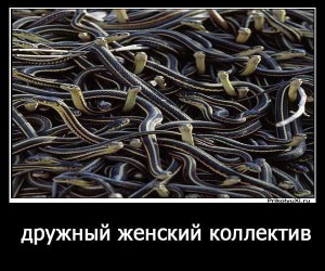 Создать мем: женский коллектив, картинка дружный женский коллектив змеи, дружный женский коллектив змеи