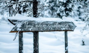 Создать мем: в зимнем лесу, зима снег, небольшой снег