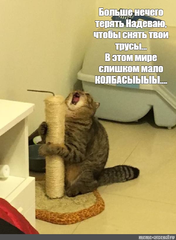 Снимаю твои