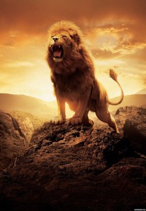 Create meme: roar, the lion the witch and the wardrobe, lion