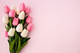 Create meme: tulips bouquet, tulips, tulips pink