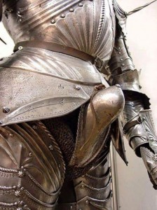 Create meme: fly photo, knight armor, medieval armor