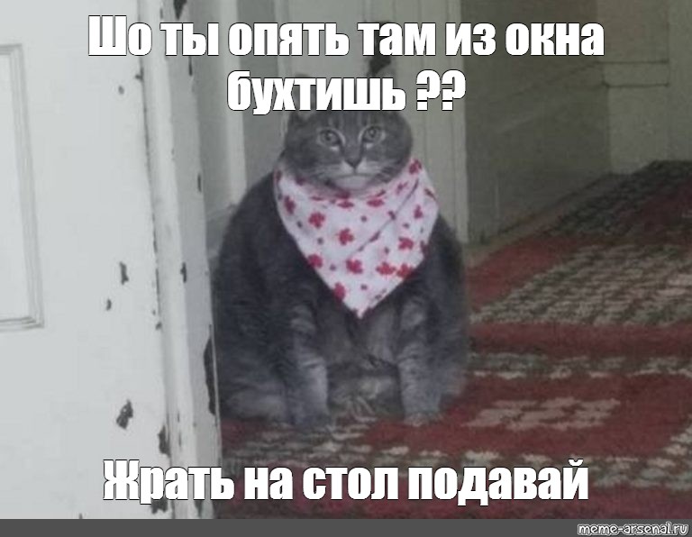 Снова там