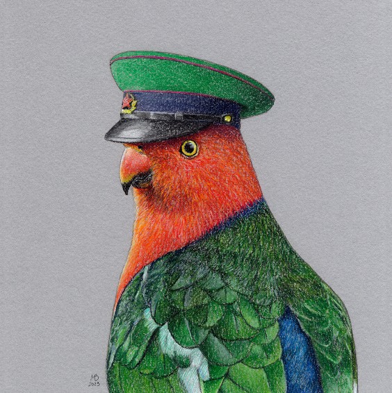 Create meme: a green parrot with a red head, parrot colored pencils, Fisher's Lovebirds