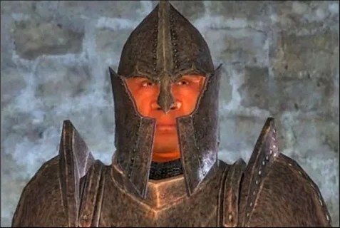 Create meme: stop right there criminal scum, Oblivion Guards armor, Oblivion the Guard