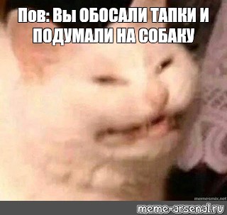 Создать мем: null