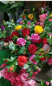 Create meme: the flowers of Dutch roses, flowers roses, beautiful flowers