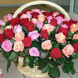 Create meme: basket with roses, pink roses