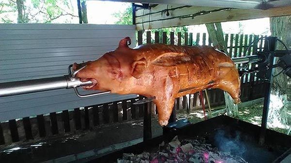 Create meme: a pig on a spit, pig on a spit, a pig on a spit is entirely at home