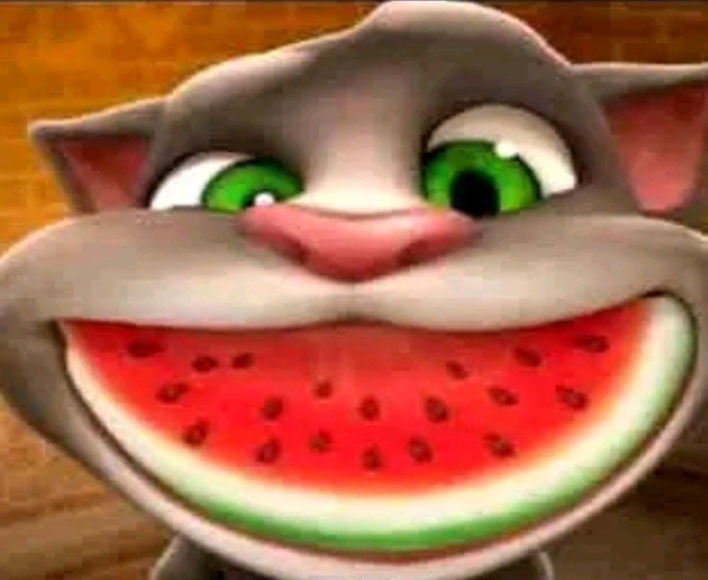 Create meme: tom the cat with watermelon, talking Tom game, tom with a watermelon in his mouth meme