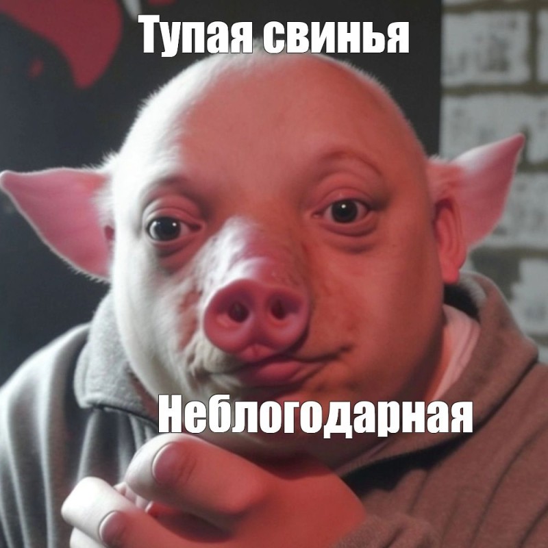 Create meme: pig's face, People are pigs, pig head