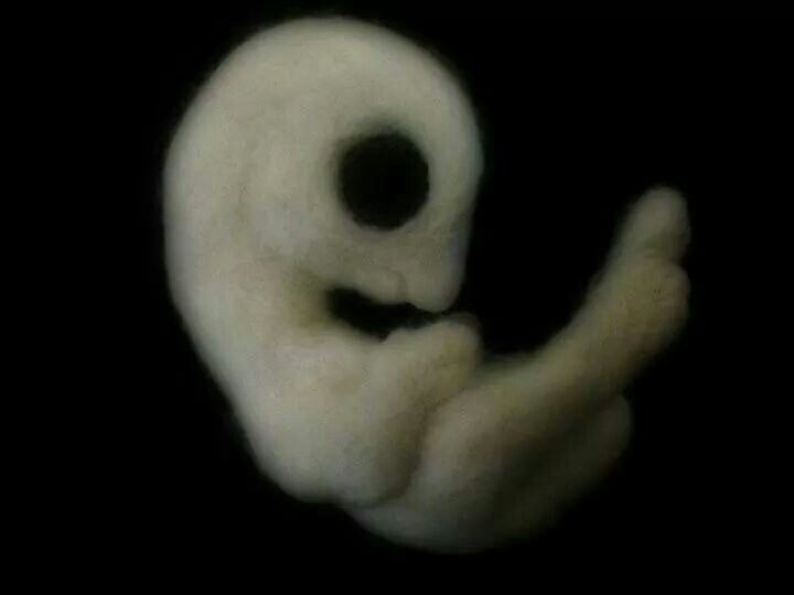 Create meme: embryo, human embryo, the germ